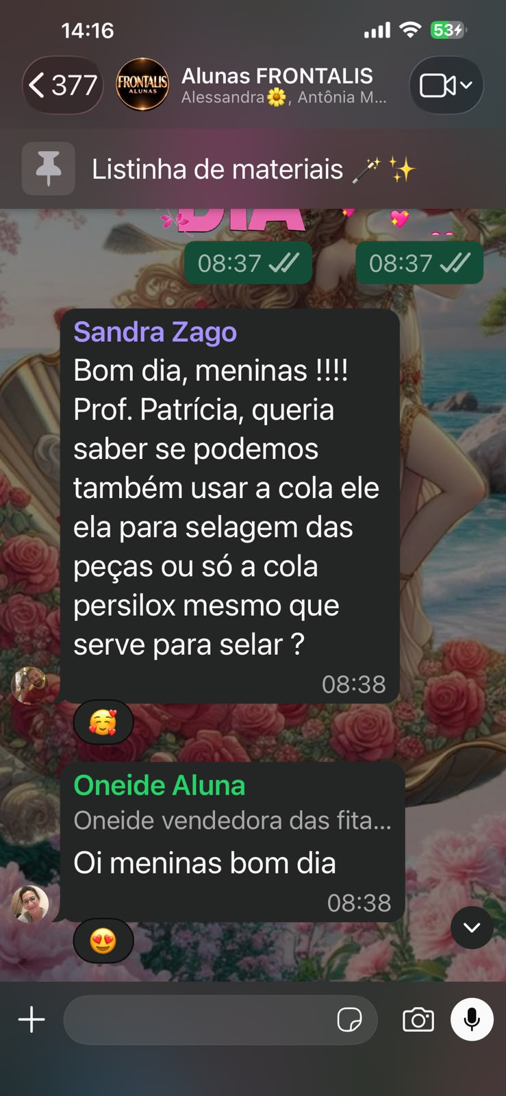Print do grupo exclusivo de alunas do FRONTALIS, com alunas trocando experiências e tirando dúvidas